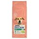 Purina-Dog-Chow-Light-Pulyka-14Kg-Szaraz-Kutyatap